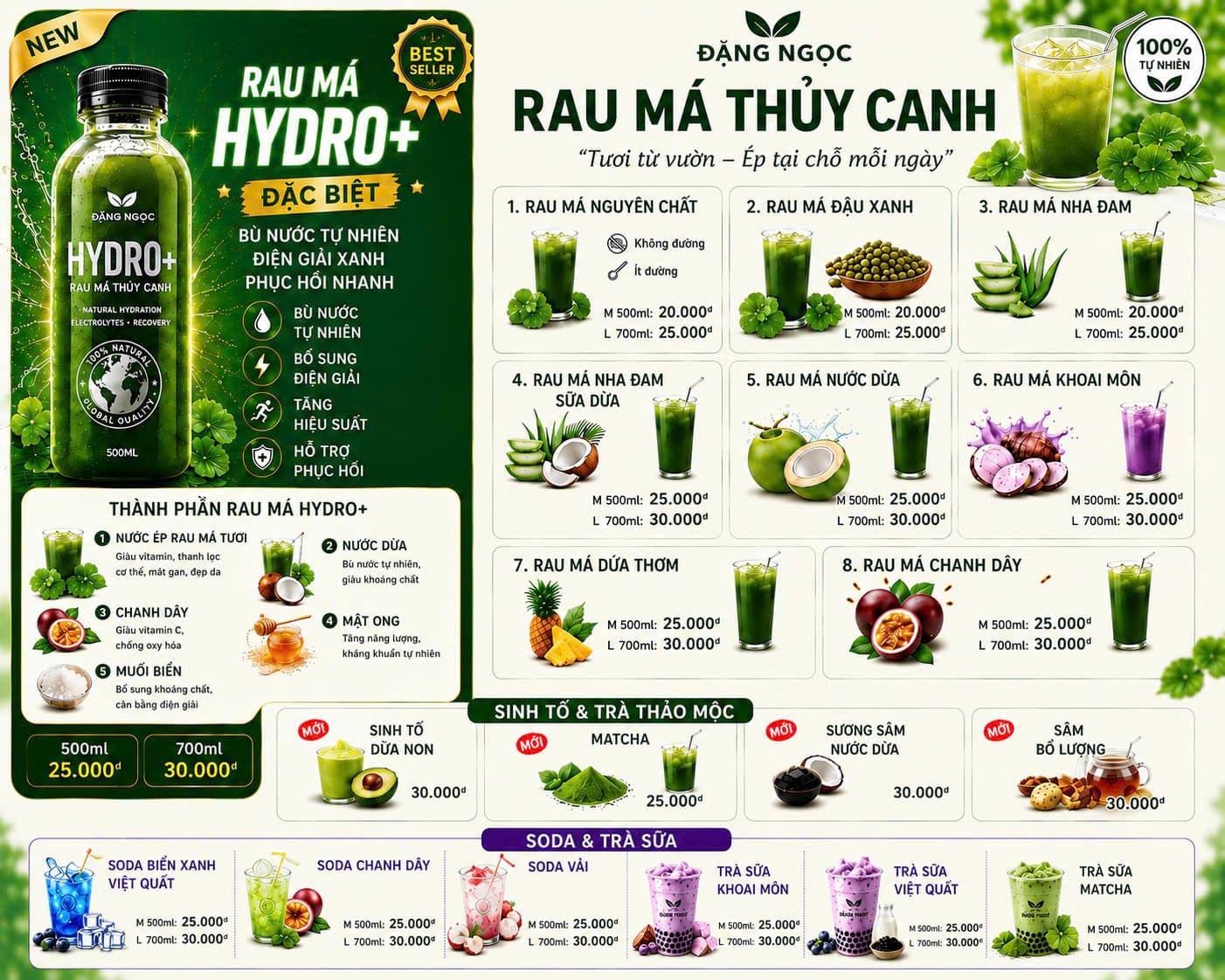 Thực đơn đầy đủ Rau Má Thủy Canh Đặng Ngọc